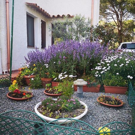 Villa Manuela Pula Exteriér fotografie