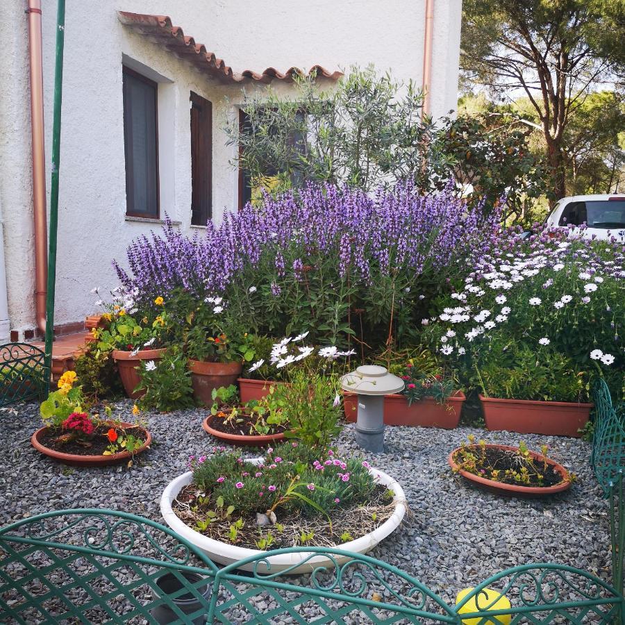 Villa Manuela Pula Exteriér fotografie